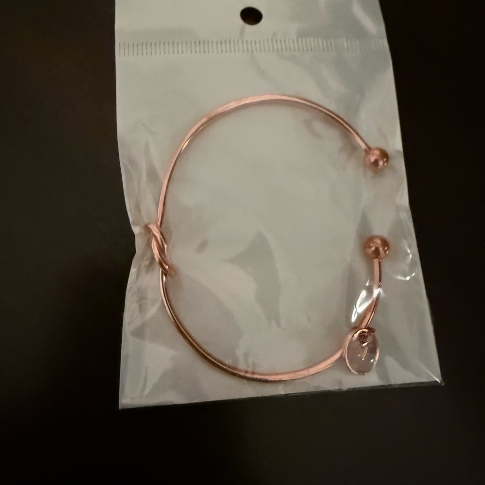 Rose Gold Bangle Bracelet NWOT in plastic